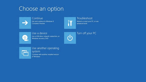 Windows 8 Boot Options