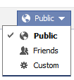 Choose what you want to make public on Facebook