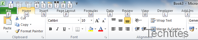 Excel 2010 Ribbon